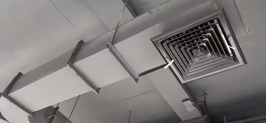 Restorative Allergy Relief Vent Cleaning – Coil, Blower & Housing Detail in Floral Park