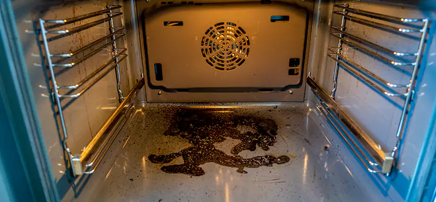 Our Dryer Vent Mold Cleaning Services in Floral Park, NY