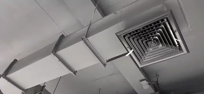 Our Pest Removal From Ducts Services in Floral Park, NY