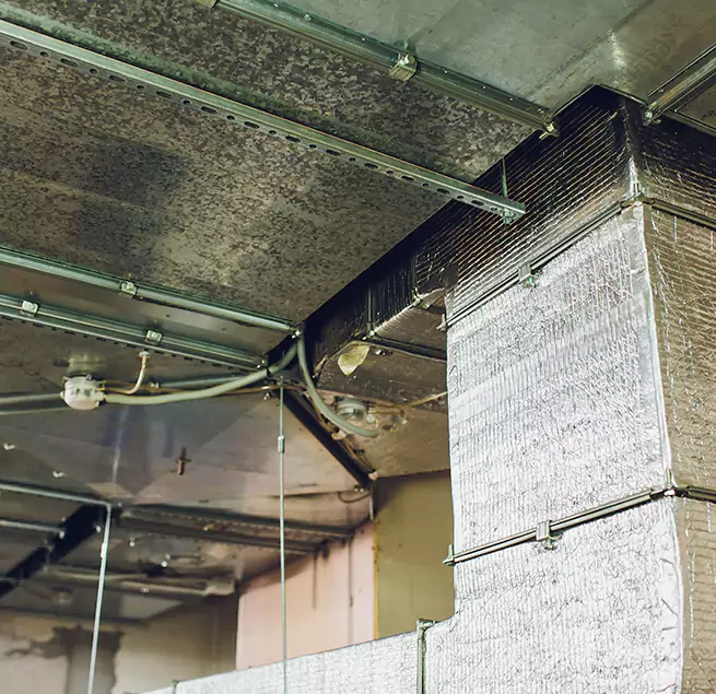 Why Homeowners & Businesses Trust Us in Floral Park, NY?